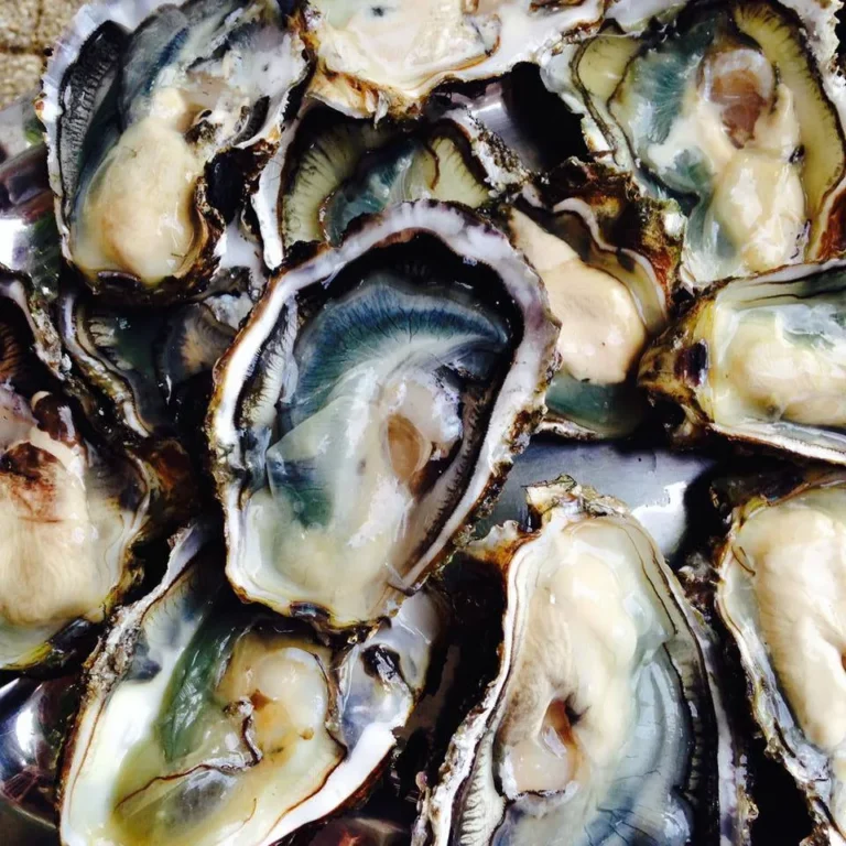 Huîtres de Marennes-Oléron, spécialité de Charente-Maritime